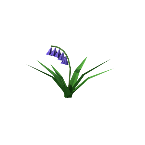 Bluebell
