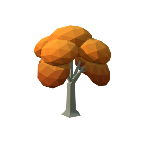 European beech in autumn