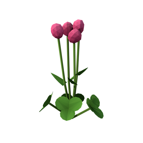 Red clover