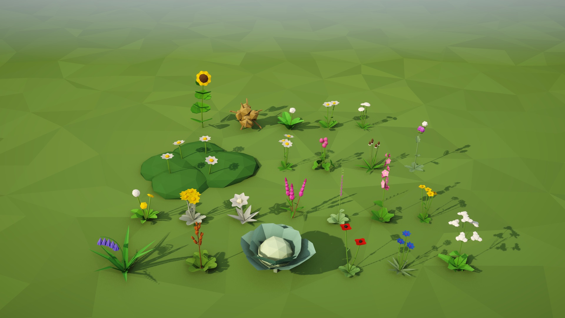 Every species of the wildflower pack lined up on a low-poly meadow